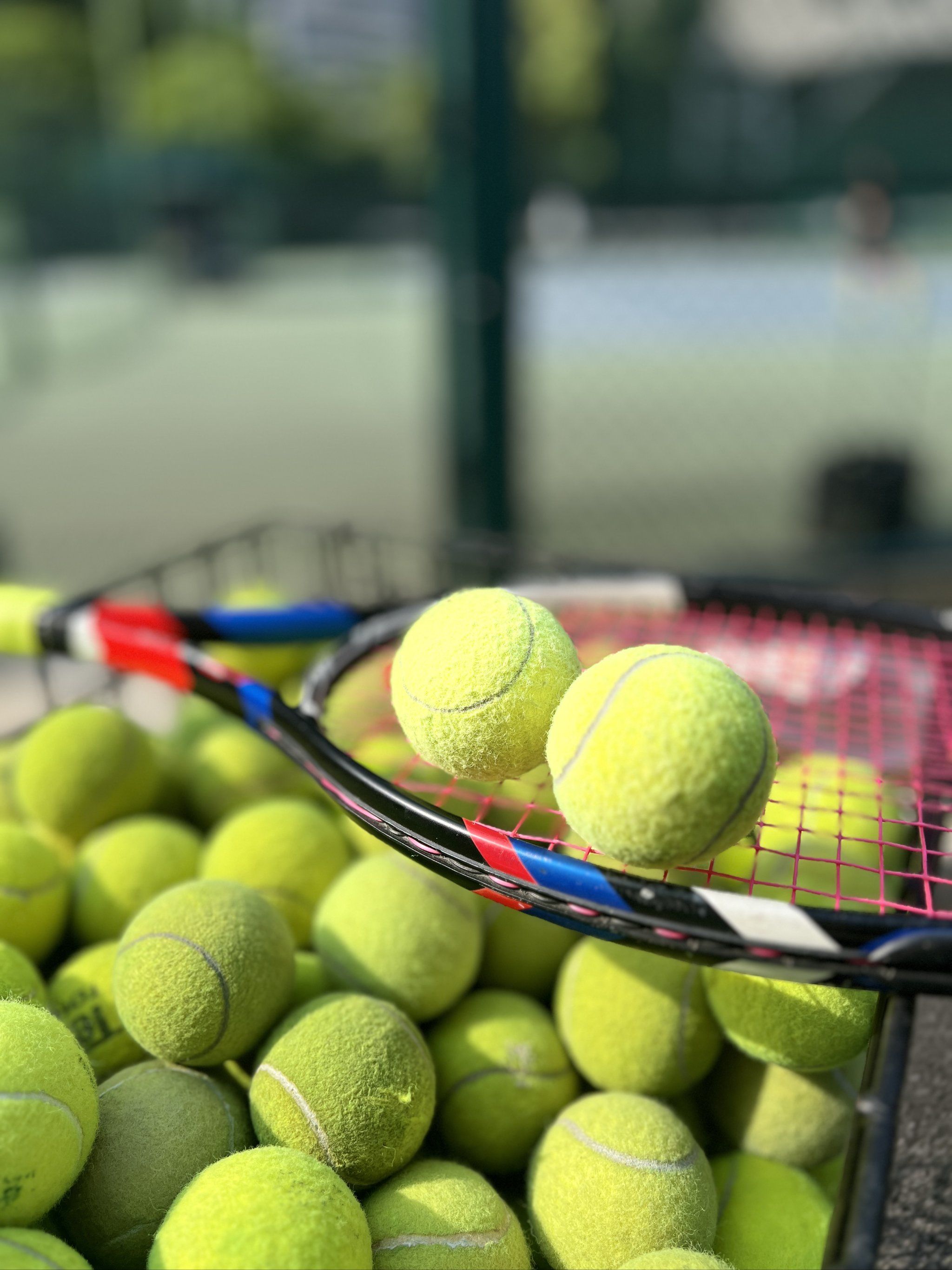 本场比赛中 本场比赛中