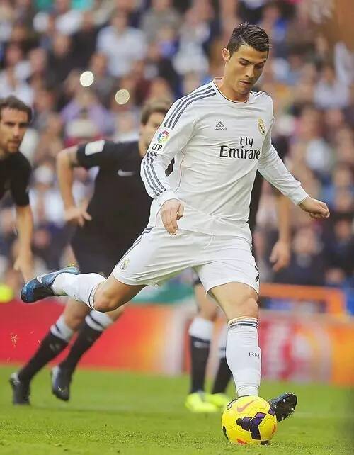 佩德里不仅 佩德里不仅