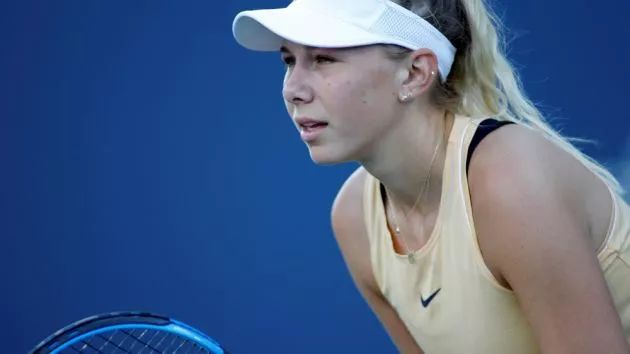 此次更新的 此次更新的